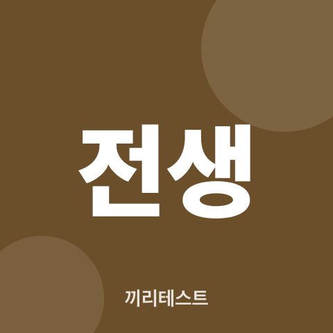 전생 테스트